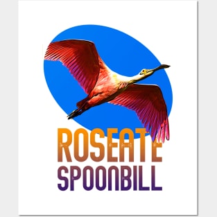 Roseate Spoonbill Posters and Art